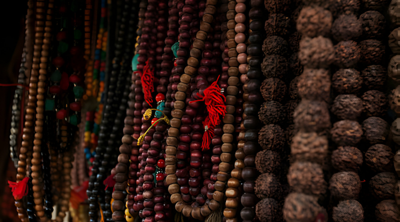 Rudraksha tree