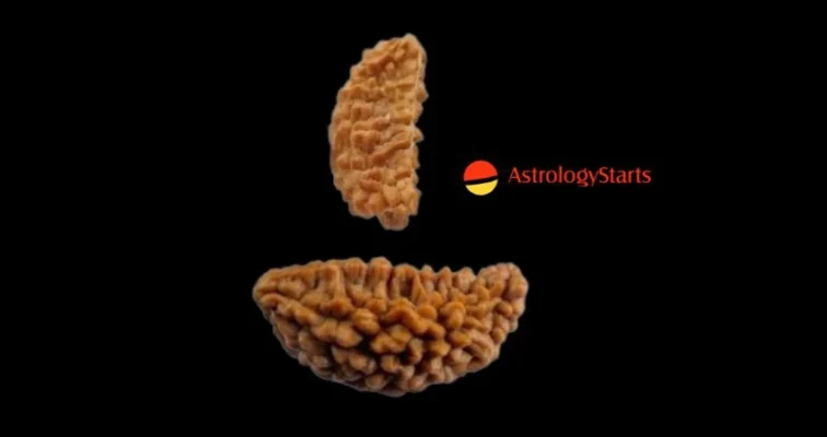 Rudraksha